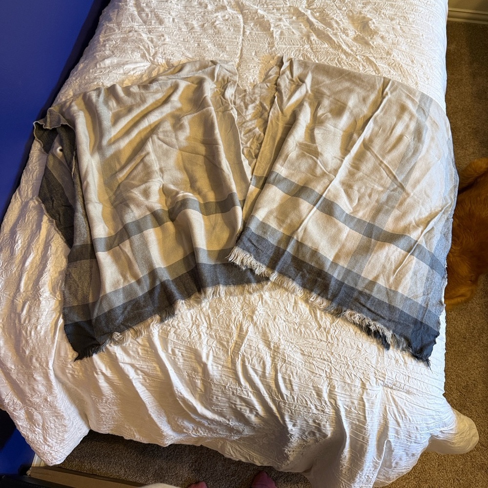 Elegant Cream and Gray Shawl - Picture 4 of 4
